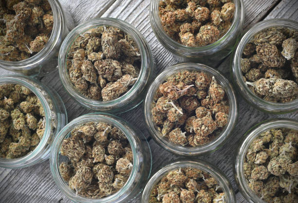 How To Store Weed Cannamazoo Dispensary Kalamazoo