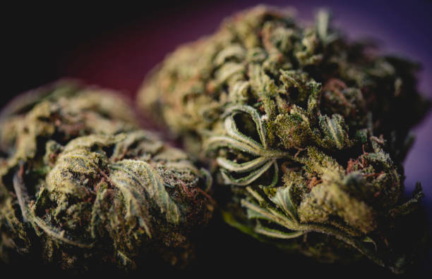 Kalamazoo Weed Dispensary Cannamazoo