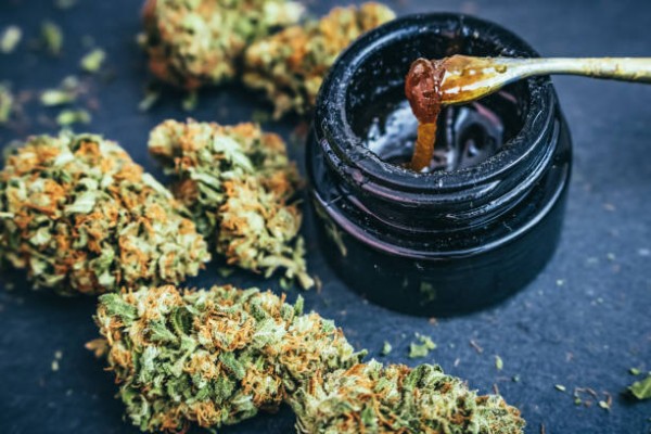 Cannabis flower grinder close-up
