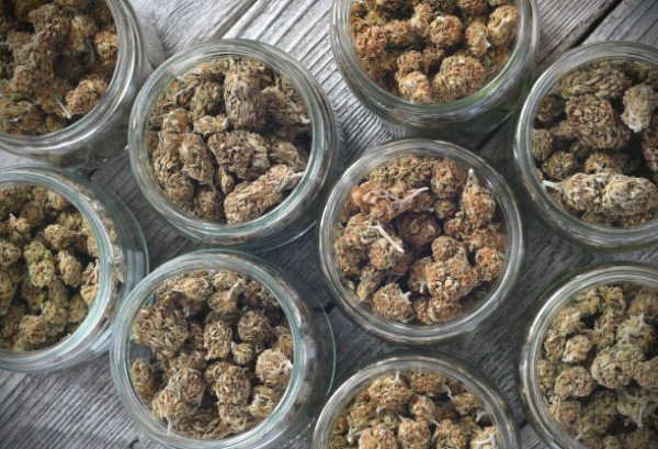 Cannabis flower storage jars