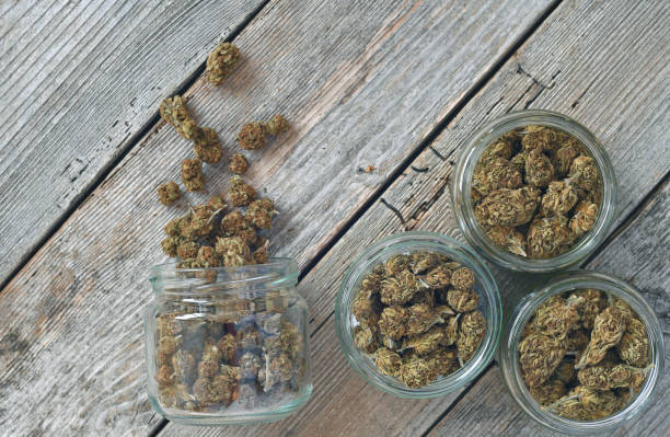 Weed Storage Cannamazoo Weed Dispensary 1